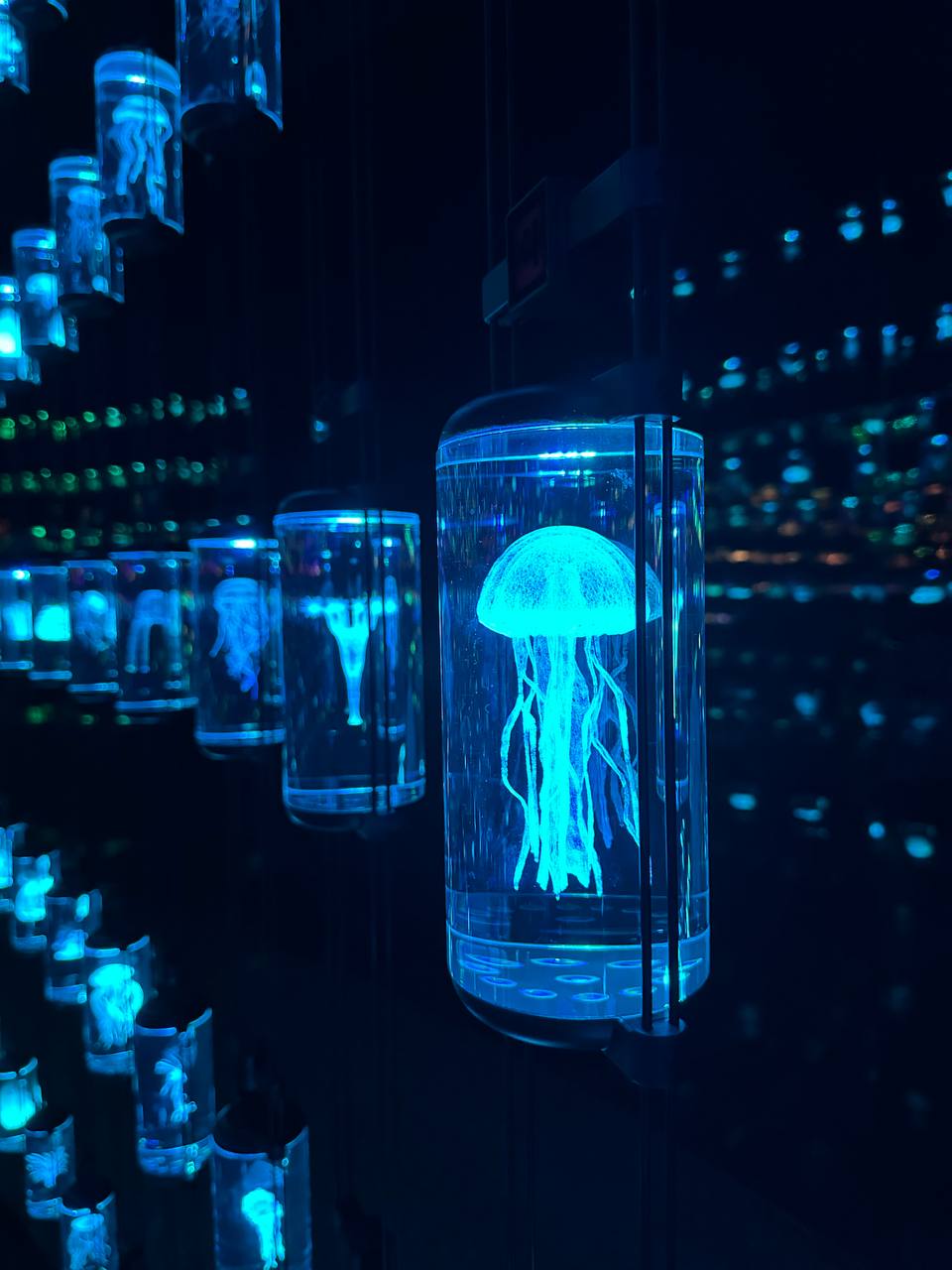 Будущее начинается сегодня: сила мыслей и действий